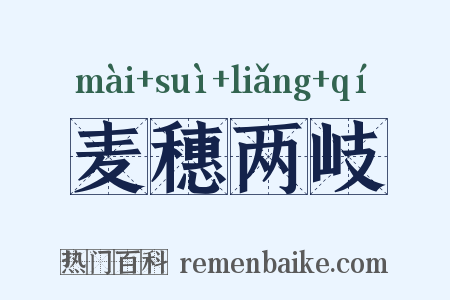 麦穗两岐是什么意思的图片